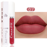 Waterproof Matte Lipstick