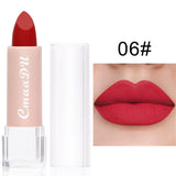 Lipstick Matte Waterproof