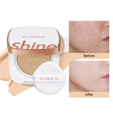 Long Lasting Foundation Cushion Compact With Makeup Puff